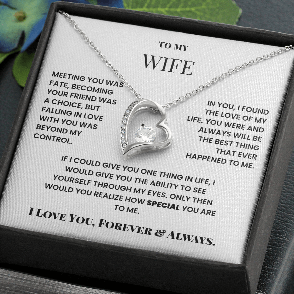 To My Wife Meeting you was fate