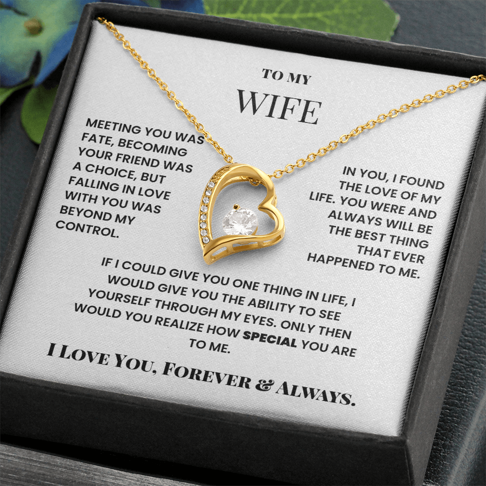 To My Wife Meeting you was fate